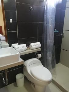 纳斯卡LA FAMILIA NASCA HOUSE的浴室配有白色卫生间和盥洗盆。