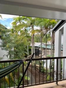 凯恩斯Coral Reef Resort的鸟儿坐在阳台上,眺望着棕榈树