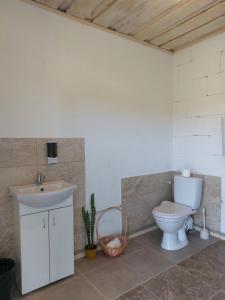 Lielie UnguriAimasas Camping的一间带水槽和卫生间的浴室