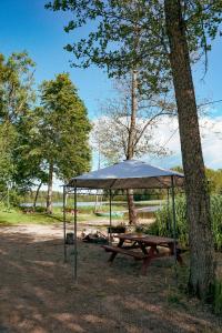 Lielie UnguriAimasas Camping的树旁带天篷的野餐桌