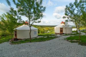 AvrenGala park fpv的两顶蒙古包帐篷位于树木林地