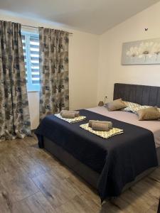 罗波里卡Pula Apartment E&E的一间卧室设有两张床和窗户。