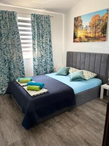 罗波里卡Pula Apartment E&E的一间卧室配有一张带蓝色床单和枕头的床。
