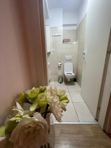 布拉索夫Apart Mihai Viteazu Residence的一间带卫生间和花瓶的浴室