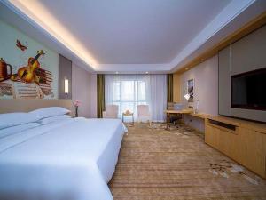 宜昌维也纳国际酒店·湖北宜昌葛洲坝三峡文化天地店的酒店客房设有一张大床和一台电视。