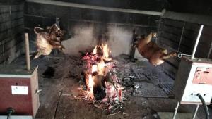 普佐伊杜Sardinia Ovest 2的烤鸡和火