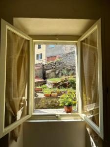 斯蒂亚La vecchia cartiera的窗台上带有盆栽植物的开放式窗户