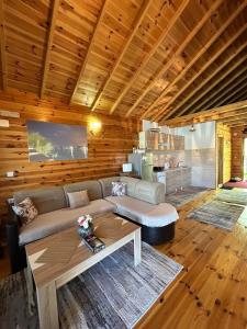 乌尔齐尼Cottage Ajna - Ada Bojana的客厅配有沙发和桌子