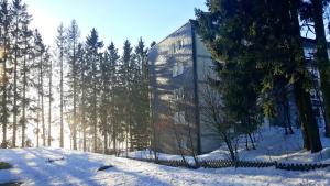 温特贝格Ferienappartement Winterberg - Bikepark um die Ecke的树旁雪中的一个玻璃建筑