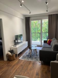 奥古斯图Sosnowe Apartamenty - Marina.的带沙发和电视的客厅