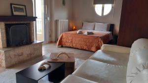 卡拉莫斯赞西佩别墅的客厅设有一张床和一个壁炉