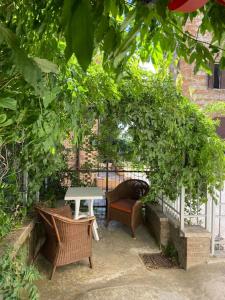 乌尔比诺Il Glicine - Monolocale a due passi dal centro的树 ⁇ 下带椅子和桌子的花园