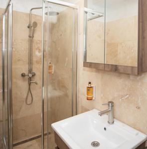 特尔戈维什泰Hotel Del Ponte的一间带水槽和淋浴的浴室