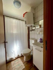索布拉Villa Anita的一间带卫生间和水槽的小浴室