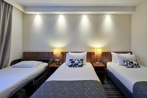 斯特拉斯堡斯特拉斯堡中心智选假日酒店的配有两盏灯的房间的两张床