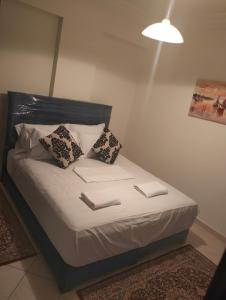 马拉喀什appartement a Marrakech的一张小床,里面放着两个枕头