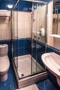 巴尼亚卢卡切泽巴尼亚卢卡酒店的带淋浴、卫生间和盥洗盆的浴室