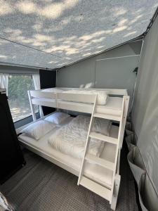 BredebroBredebro camping的一间帐篷内带两张双层床的卧室