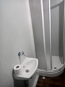 穆拉Karavan Kır Evi的白色的浴室设有水槽和淋浴。