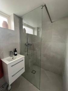 哥德堡Villa nära till natur och stan的带淋浴和盥洗盆的白色浴室