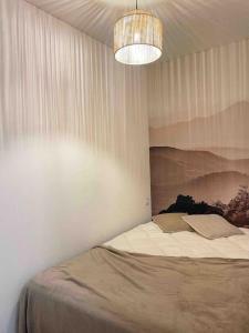 梅塔比耶Appartement cosy的一间卧室配有一张床和一个吊灯