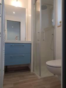 拉罗谢尔Guest House entre ville et océan的浴室配有蓝色水槽和卫生间。