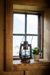 布里恩茨Ferienhaus Chalet Steckli的灯笼坐在植物旁边的窗台上