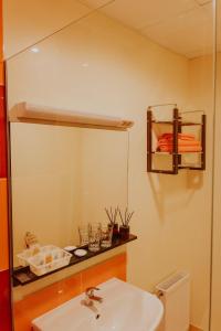 文茨皮尔斯Guest house Baltika的一间带水槽和镜子的浴室