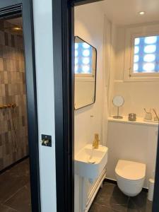 夏洛滕隆Designer apartment的一间带水槽、卫生间和镜子的浴室