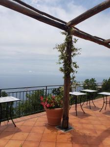 弗洛里Villa Pino的一个带桌子和盆里植物的庭院