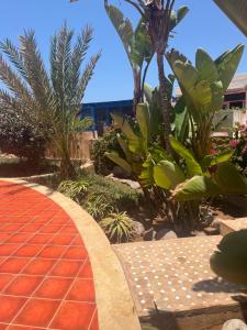 米勒福特Mimid Dunes Beach的棕榈树花园,砖砌走道