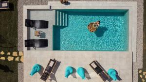 阿利卡纳斯Aktis Elegant Villa的水中养有乌龟的游泳池