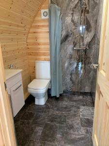 KeltyPond View Pod 3 With Private Hot Tub - Pet Friendly -Fife - Loch Leven - Lomond Hills的一间带卫生间和淋浴的浴室
