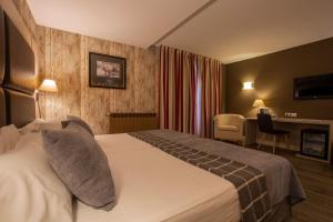 索尔德乌Hotel Himàlaia Soldeu的配有一张床和一张书桌的酒店客房