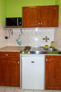 巴拉顿菲赖德蓝湖草堂旅馆的厨房配有水槽和白色洗碗机