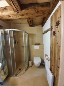 LajouxAu Château的带淋浴和卫生间的浴室