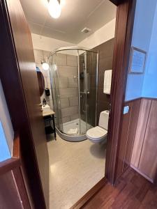 塞尔福斯Brú Country Estate的带淋浴和卫生间的浴室