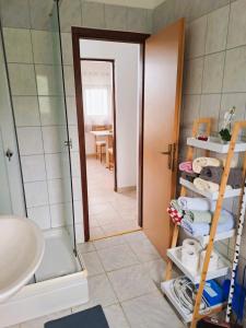 卡尼卡Andrija Apartment的带淋浴、盥洗盆和镜子的浴室