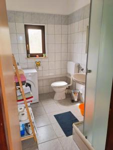 卡尼卡Andrija Apartment的一间带卫生间和水槽的浴室