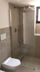 加利波利Dimora San Felice Il Fico的一间带卫生间和玻璃淋浴间的浴室