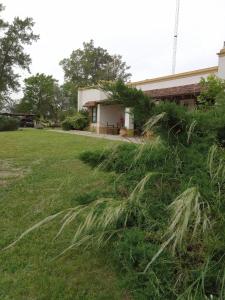 圣安东尼奥德阿雷科Hospedaje El Rincon的院子里有一堆草的房子