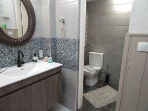 圣帕拉斯凯维Litsa's House Platanias的一间带水槽、卫生间和镜子的浴室