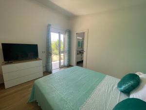 阿祖罗港Villetta Palmina的一间卧室配有一张床和一台平面电视
