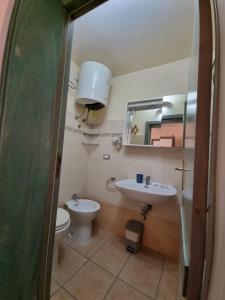 阿莱齐奥Agriturismo Capani的一间带水槽、卫生间和镜子的浴室