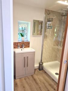 BroomeTopsy-Turvy, Gardeners Cottage, Clungunford, Ludlow, Shropshire SY70PN的一间带水槽和淋浴的浴室