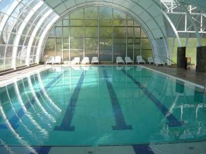 洛斯安赫莱斯Hotel y Cabañas Las Mellizas - Caja Los Andes的温室中的游泳池,带游泳池