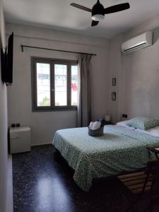 雅典Staying in Athens的一间卧室设有两张床和窗户。