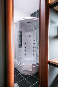 扎布利亚克Forma Mountain Lux Apartments的带淋浴的浴室