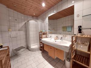 基茨比厄尔Apartments Golfweg的一间带水槽、淋浴和卫生间的浴室