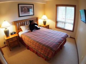 太阳峰Fireside Lodge #302 By Bear Country的狗坐在卧室的床上